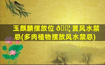 玉麒麟摆放位 🐦 置风水禁忌(多肉植物摆放风水禁忌)
